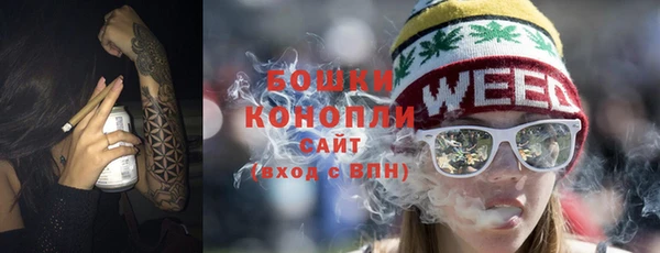 молекула духа Горнозаводск
