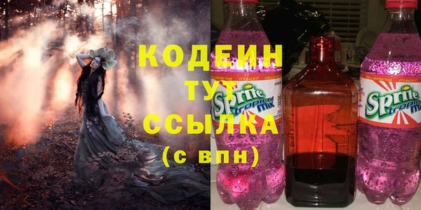 молекула духа Горнозаводск