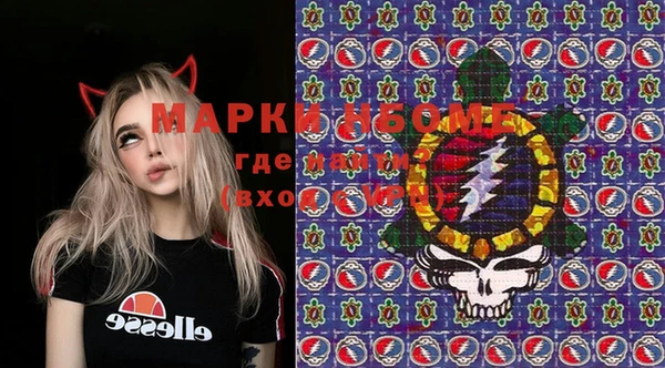 молекула духа Горнозаводск