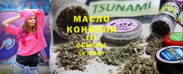 молекула духа Горнозаводск