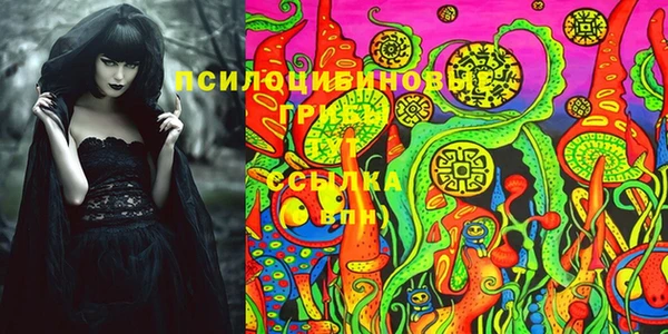 молекула духа Горнозаводск