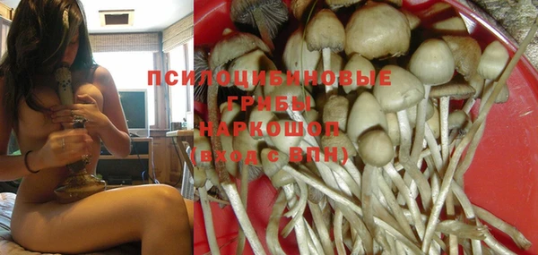 МДПВ Горняк