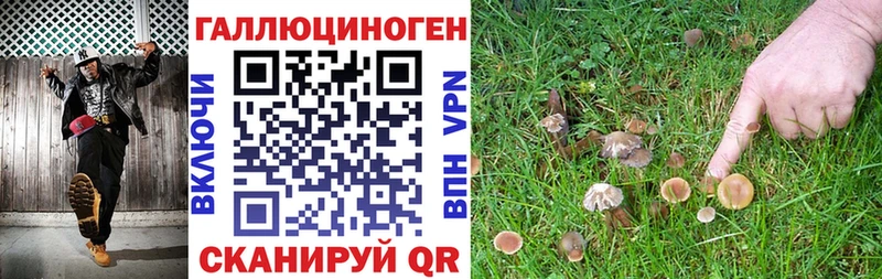 Купить где  Константиновск  Галлюциногенные грибы мухоморы 